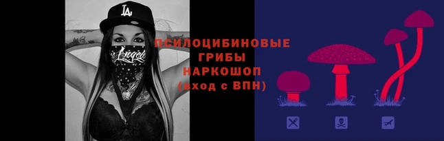 таблы Алексин