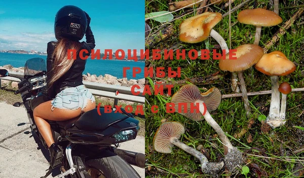 таблы Алексин
