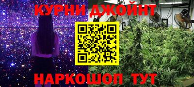 мдпв Рыбинск