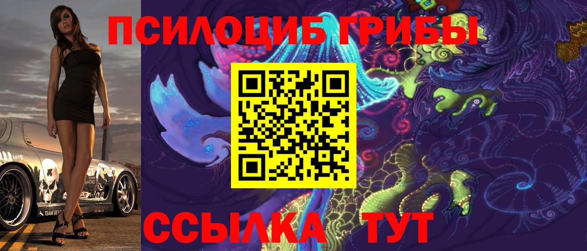 Псилоцибиновые грибы Psilocybine cubensis  Псилоцибиновые грибы GOLDEN TEACHER  Вход с VPN  Саянск 
